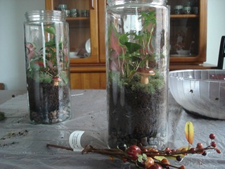 terrarium-canister