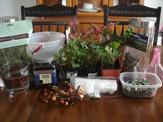 terrarium supplies